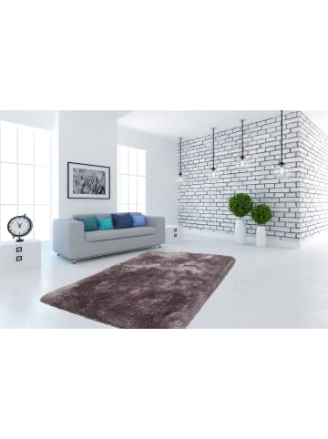 Hochflor Teppich Catalina 110 in Silber