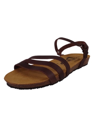 Plakton Sandalen braun