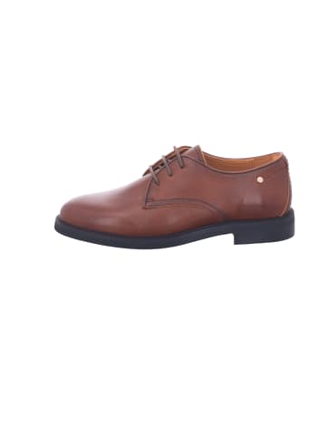 Pikolinos Schnürschuh in braun