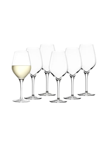 Stölzle 6er Set Weißweinkelche Exquisit 350 ml transparent in transparent