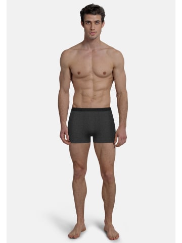 Bugatti Pants 2Er Pack Rom in schwarz-dunkel-melange