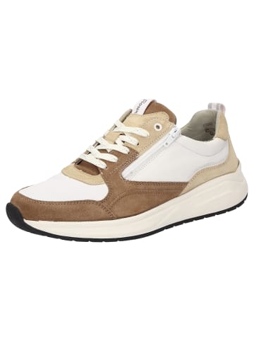 Sioux Sneaker Tasulio-700-J in braun