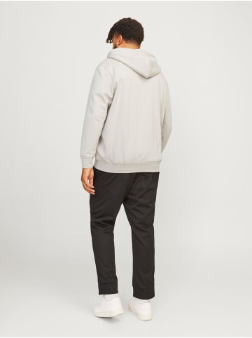JACK & JONES PLUS Kapuzenjacke in Moonbeam