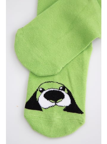 Coccodrillo Socken in olivgrün