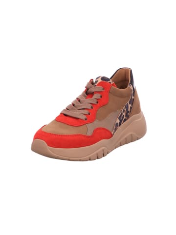 Gabor Lowtop-Sneaker in fire/nut