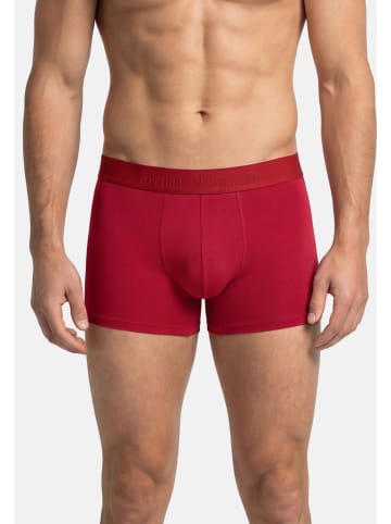 Bruno Banani Retro Short / Pant Flowing in Cranberry