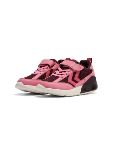 Hummel Klettverschluss Sneaker Daylight Jr Lebensstil Kinder in WINETASTING
