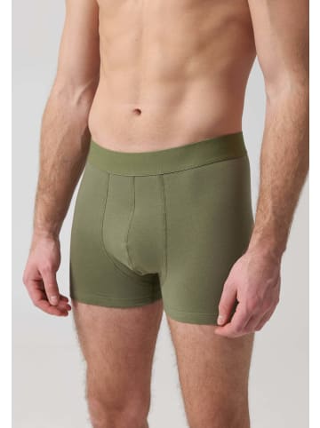 SNOCKS Boxershorts ohne Logo aus Bio-Baumwolle 6 Stück in Olive