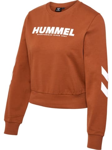 Hummel Pullover in Rot