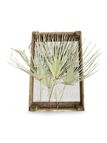 MeinVIPShop Tropisches Palmblatt im 3er Set ca. 50 cm