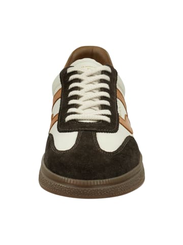 Gant Sneaker Low in Braun