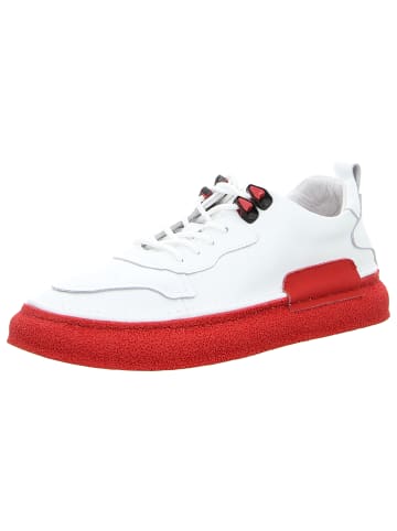 Artiker Sneaker Low in weiss