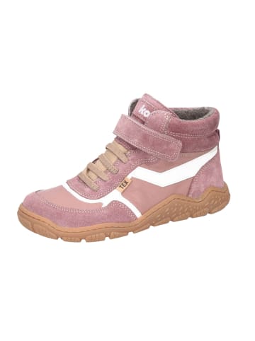 KOEL Schnürschuh in rosa