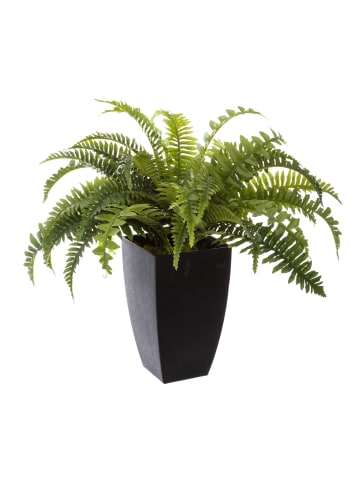Atmosphera Créateur d'intérieur Kunstpflanze in schwarz