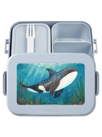 Mr. & Mrs. Panda Lunchbox Orca Design ohne Spruch in Blau Pastell