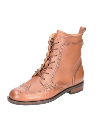 LLOYD Schnürstiefeletten in WHISKY