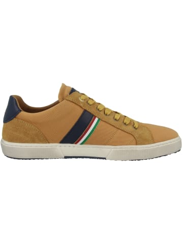 Pantofola D'Oro Sneaker low Modena Canvas Uomo Low in gelb