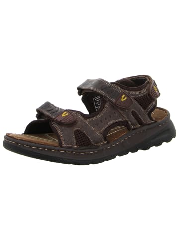 Camel Active Sandalen in braun