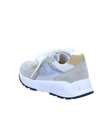 Xsensible Schnürschuh in beige