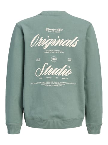 JACK & JONES Junior Sweatshirt in Laurel Wreath