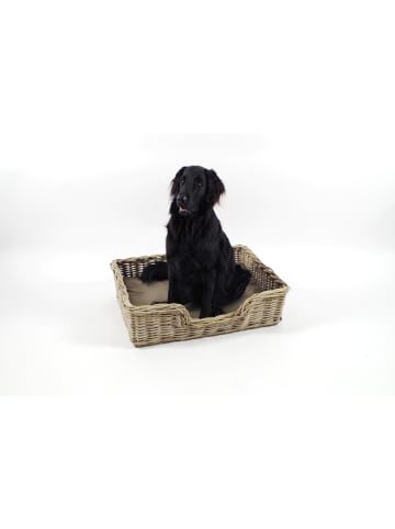 kobolo Hundekorb PUPPY81 in Grau