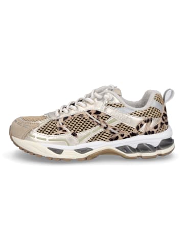 Maripe Sneaker Amsterdam in Beige Leo