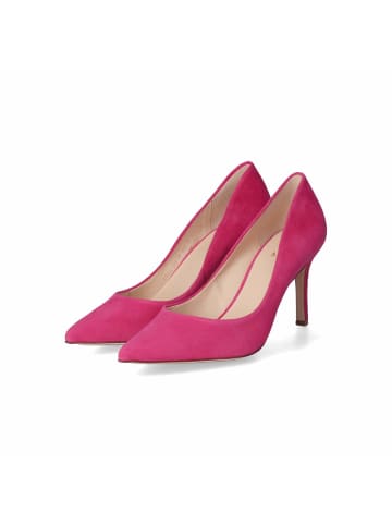 Högl Pumps in Pink