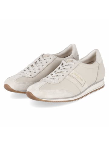Paul Green Low Sneaker in beige