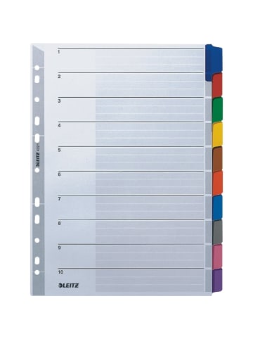 Leitz Register A4 blanko 10-teilig 160g/qm grau