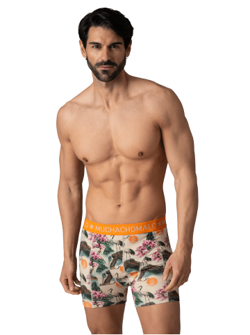 Muchachomalo 12er-Set: Boxershort in Mehrfarbig - für Herren