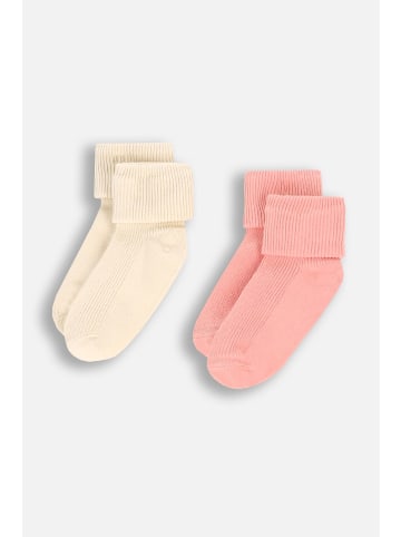 Coccodrillo Socken in bunt