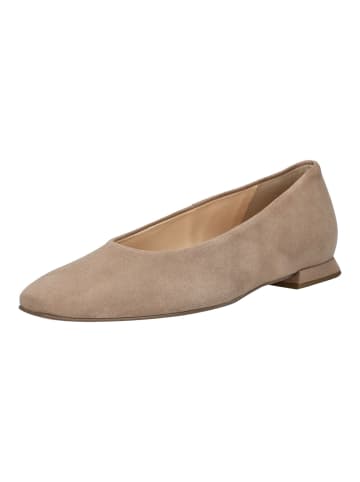 Högl Pumps in Taupe