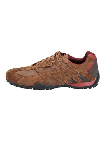Geox Sneaker in Braun