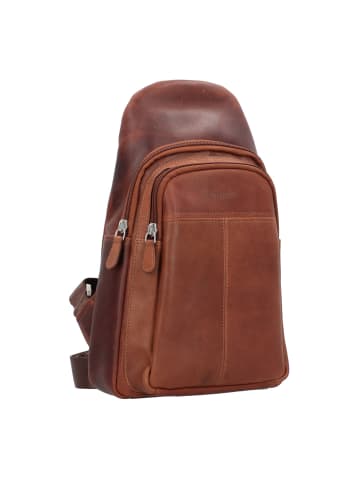 Esquire Dallas Umhängetasche Leder 20 cm in braun