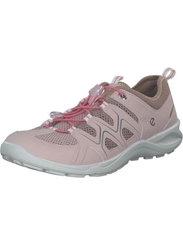 Ecco Sneakers Low in ROSE DUST/NUDE