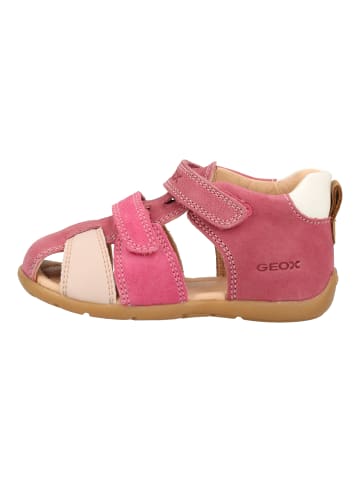 Geox Sandalen in Fuchsia