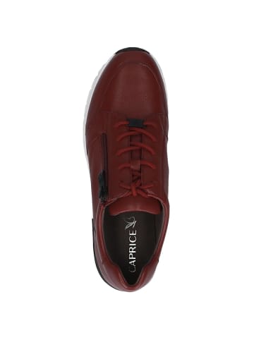 Caprice Sneaker in BORDEAUX NAPPA