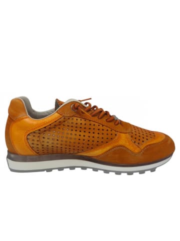 Cetti Sneaker  in Orange