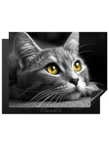 KitchenYeah Herdabdeckplatte Katze Induktionskochfeldschutz, Kochfeldschutzmatte