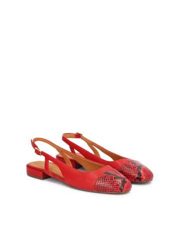 Kazar Pumps in Rot