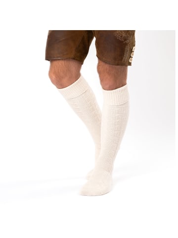 Occulto 1er Pack Lange Trachtensocken Silberdistel in Beige