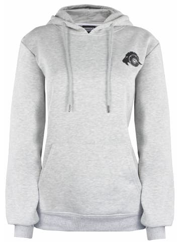 GUGGEN MOUNTAIN Hoodie Uni in Hellgrau