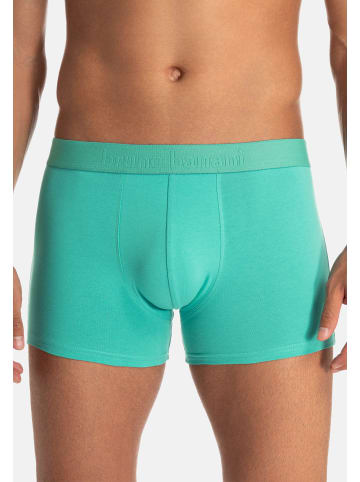 Bruno Banani Retro Short / Pant Flowing in Türkis / schwarz