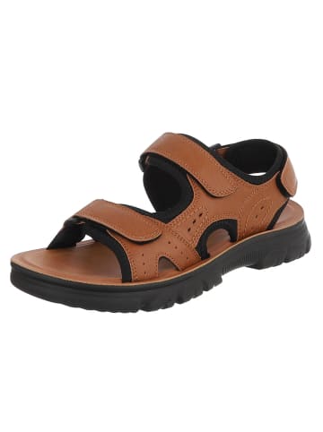 Ital-Design Freizeitschuh in Camel