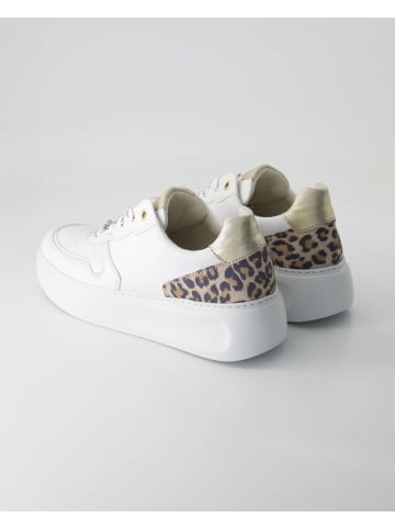 Gabor Comfort Sneaker low in Weiß
