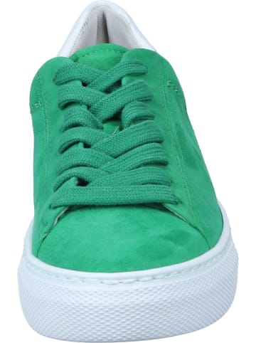 Gabor Schnürschuhe in verde/weiss