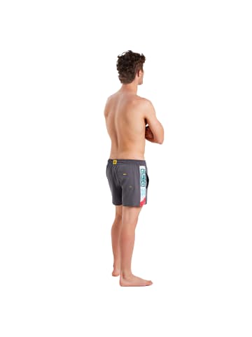 Munich Badeshorts in Gray