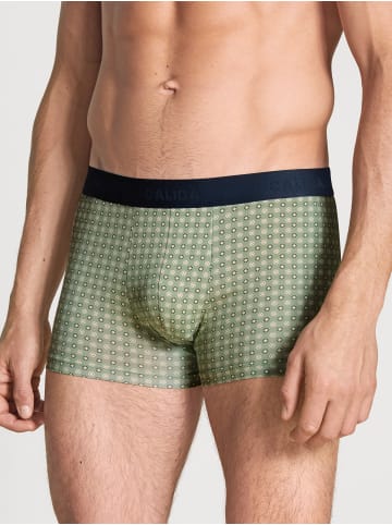 Calida New Boxer in loden frost