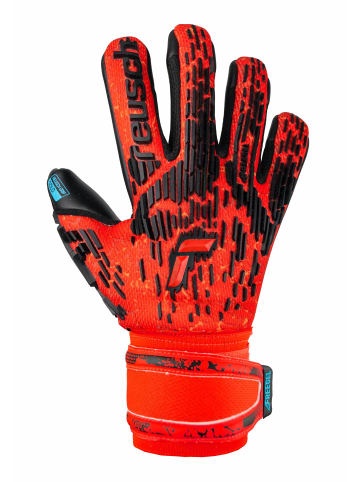 Reusch Torwarthandschuhe Attrakt Freegel Gold Junior in 3333  brig red/futr blu/blck