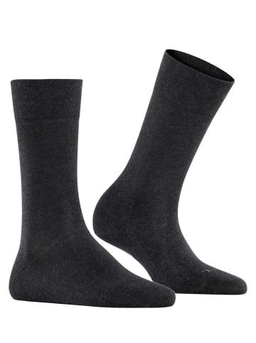 Falke Socken 1er Pack in Anthrazit